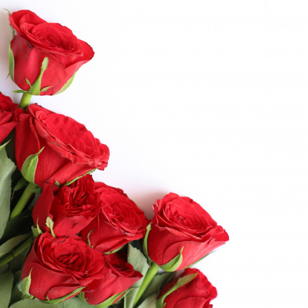 Que veut-dire offrir des roses rouges ? - Concept Provence