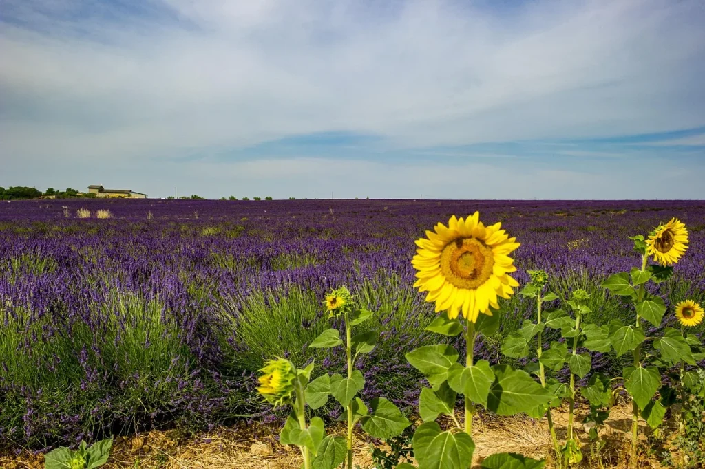 Le Fil de Provence : Comment choisir ses vêtements selon sa morphologie